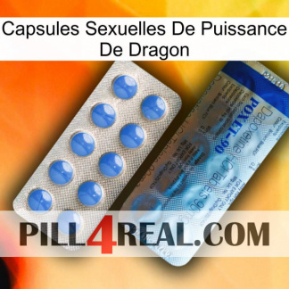 Dragon Power Sexual Capsules 40